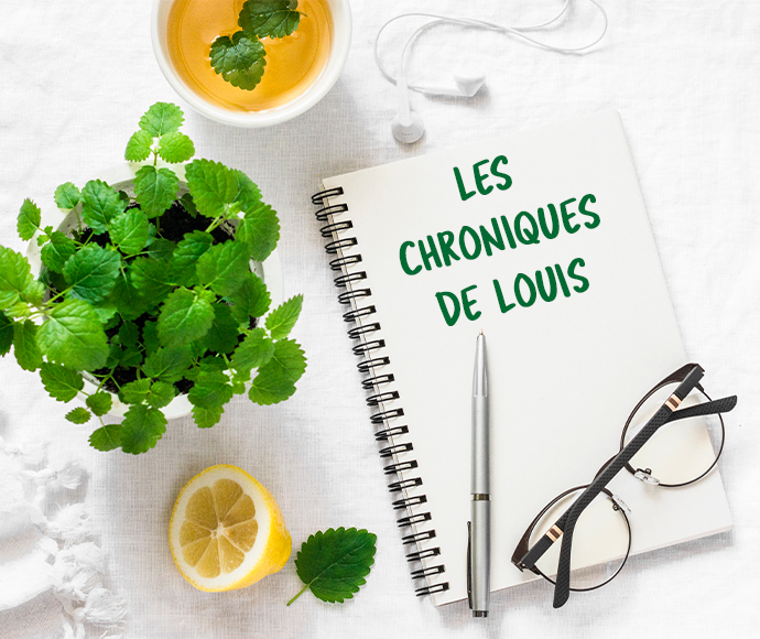 chroniques Louis Delhaize