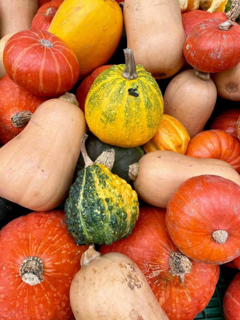 butternut, potimarron et potiron, différentes courges